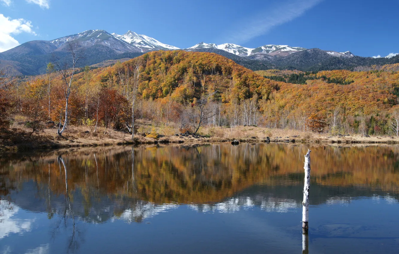 Photo wallpaper autumn, trees, mountains, lake, hills, trunk