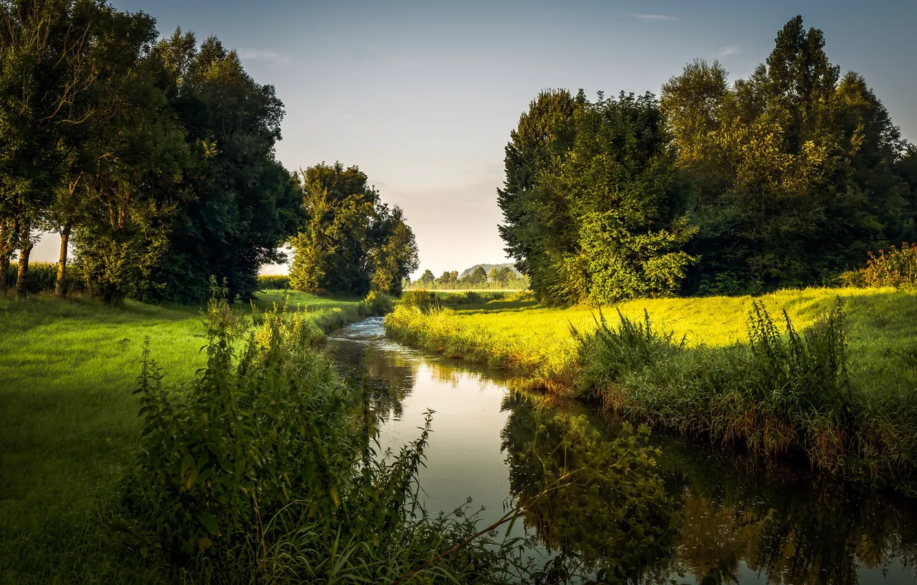 Photo wallpaper trees, river, morning, Germany, meadows, Bavaria, Burghoefe