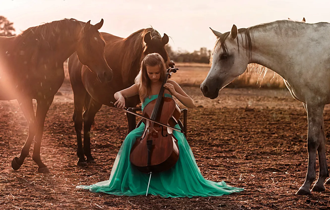 Photo wallpaper girl, horses, cello