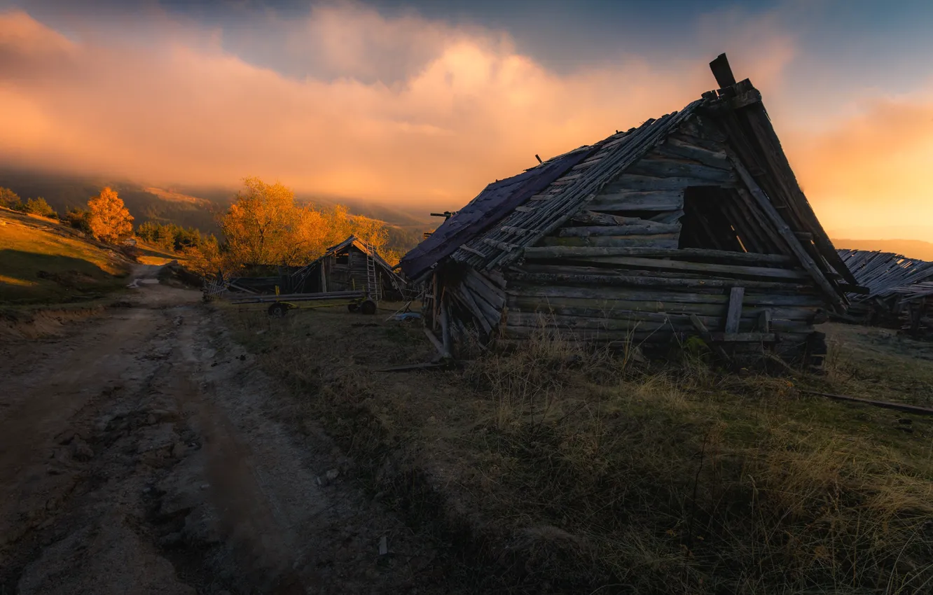 Photo wallpaper road, autumn, home