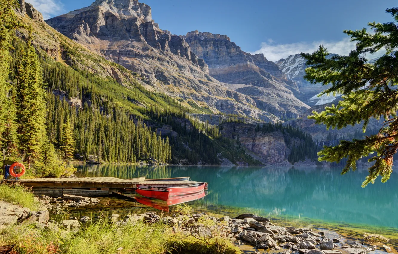 Photo wallpaper forest, trees, water, mountains, boat, Lake