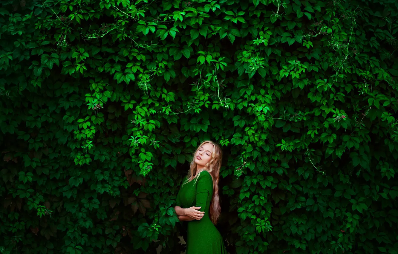 Photo wallpaper greens, girl, blonde, photographer, Elena, green dress, wild grapes, Lena