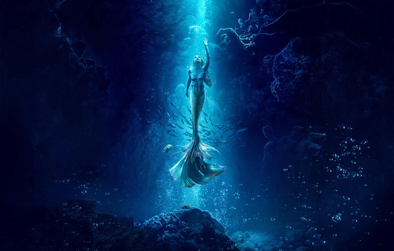 Photo wallpaper stones, hair, fish, fantasy, tail, USA, Disney, underwater world