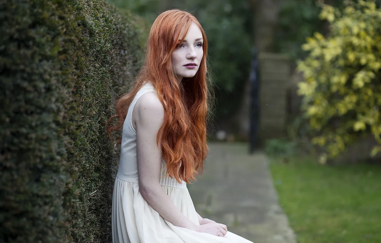 Photo wallpaper girl, background, red