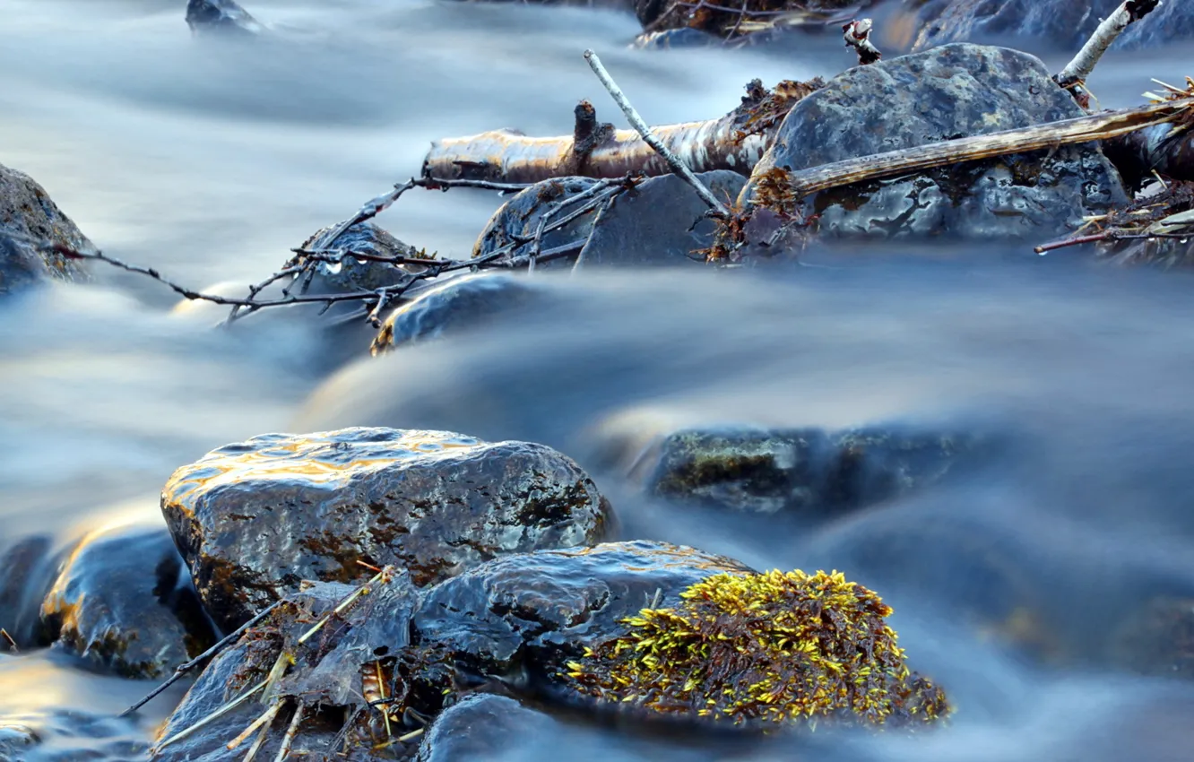 Photo wallpaper water, macro, stones, stream