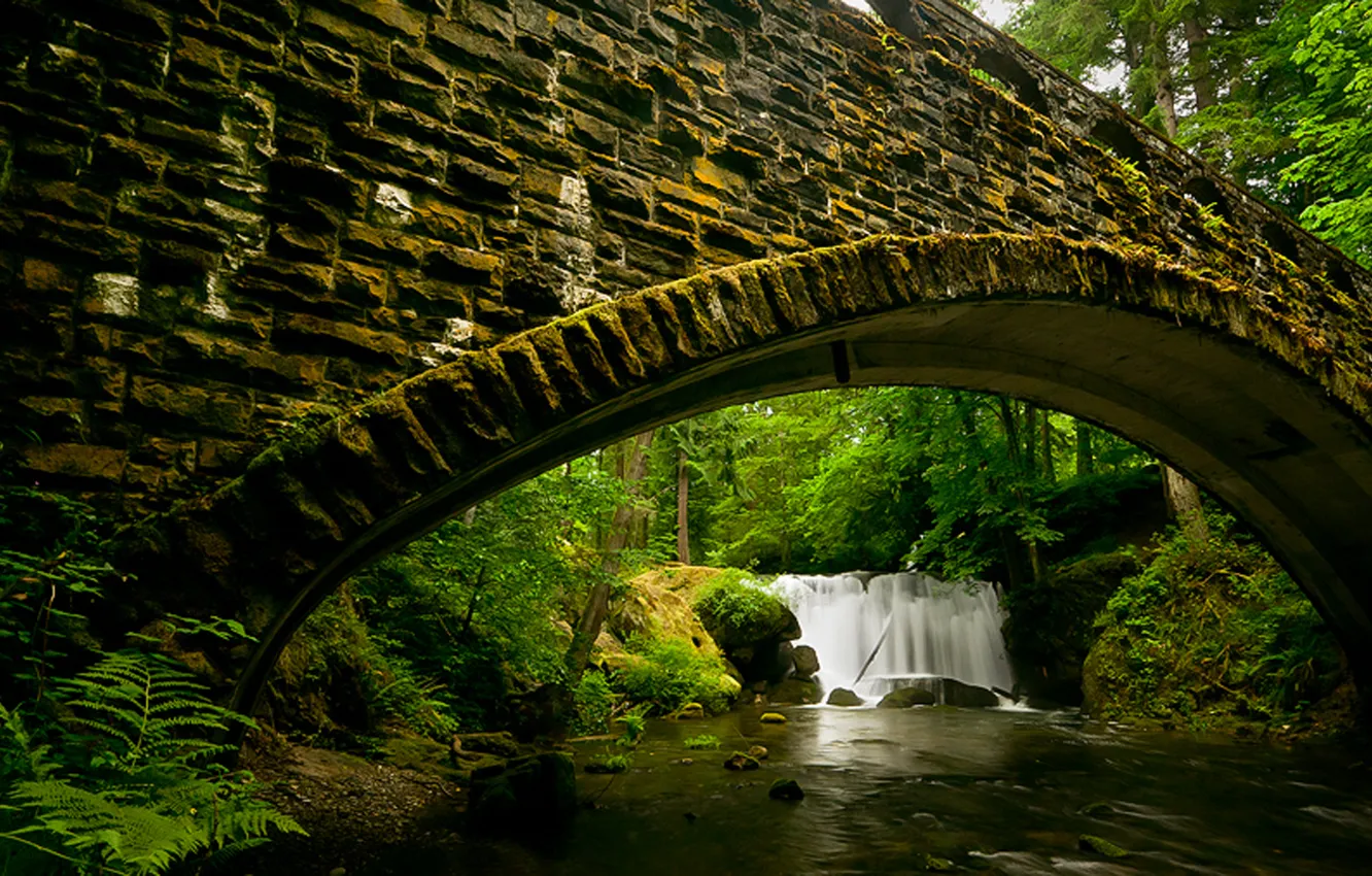 Photo wallpaper forest, water, bridge, stones, waterfall