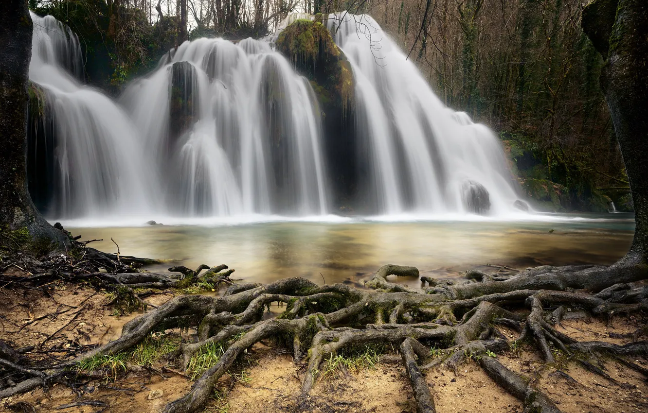 Photo wallpaper roots, river, tree, waterfall