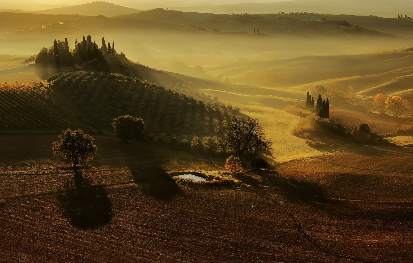 Photo wallpaper Italy, Tuscany, San Quirico d'orcia