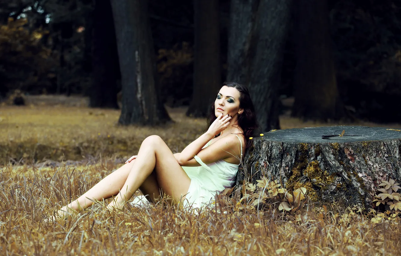 Photo wallpaper forest, grass, trees, nature, moss, stump, dress, brunette