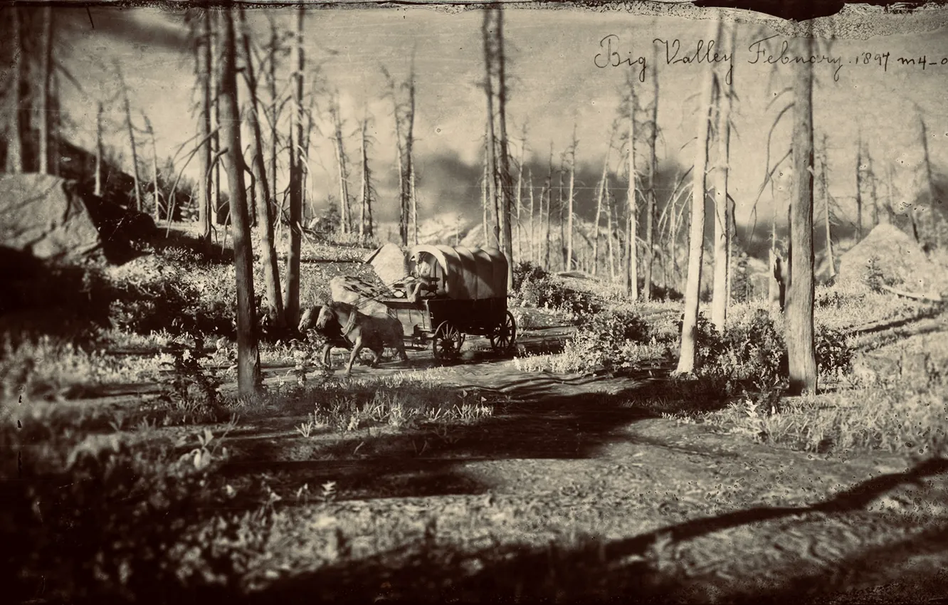 Photo wallpaper HDR, game, wood, horse, coach, UHD, Red Dead Redemption 2, XBox One X