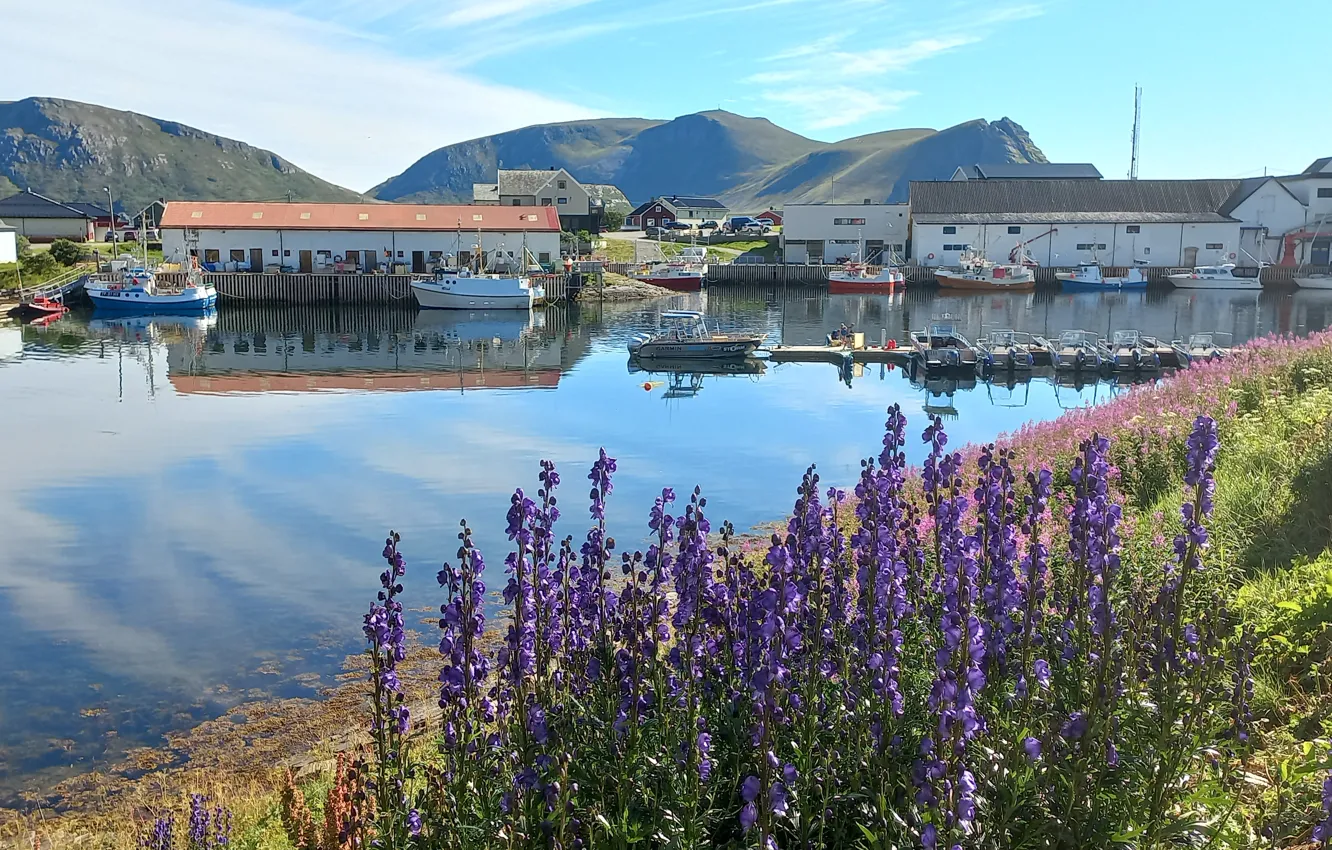 Photo wallpaper flowers, mountains, Bay, Norway, town, Korablik