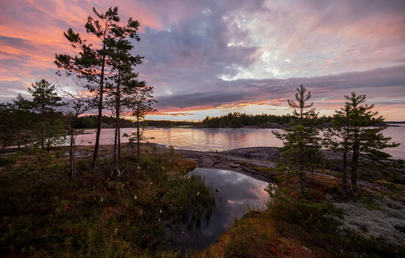 Photo wallpaper summer, trees, landscape, nature, lake, stones, forest, Lake Ladoga