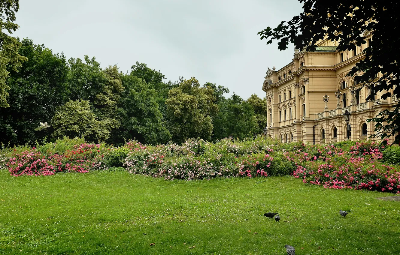 Photo wallpaper Park, garden, Poland, theatre, park, garden, Poland, Krakow