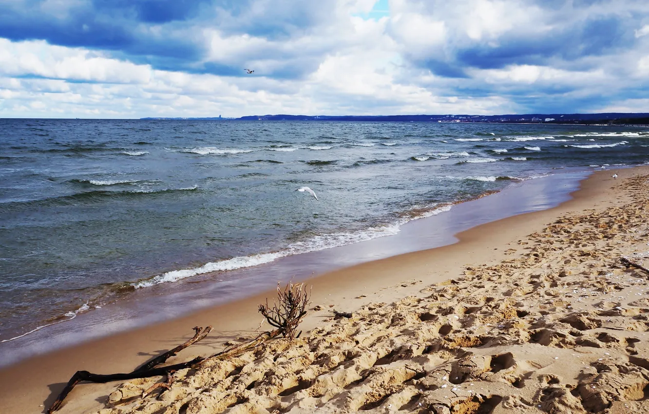 Photo wallpaper beach, sea, ocean