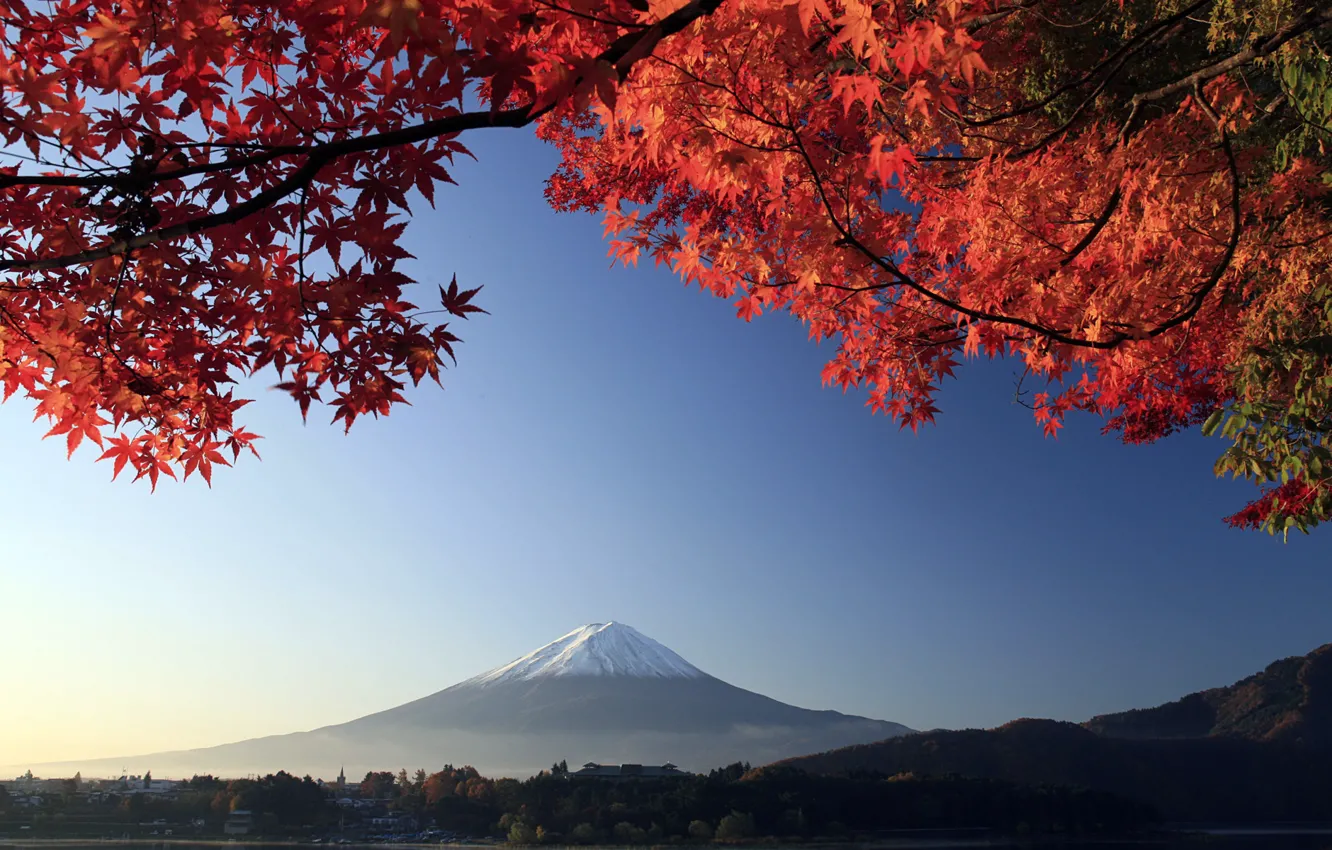 Photo wallpaper autumn, branches, tree, mountain, the volcano, Japan, Fuji