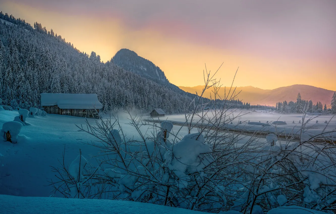 Photo wallpaper winter, field, forest, the sky, light, snow, sunset, mountains