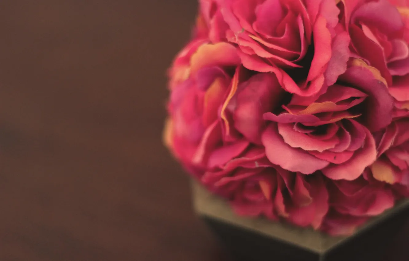 Photo wallpaper flowers, petals, artificial