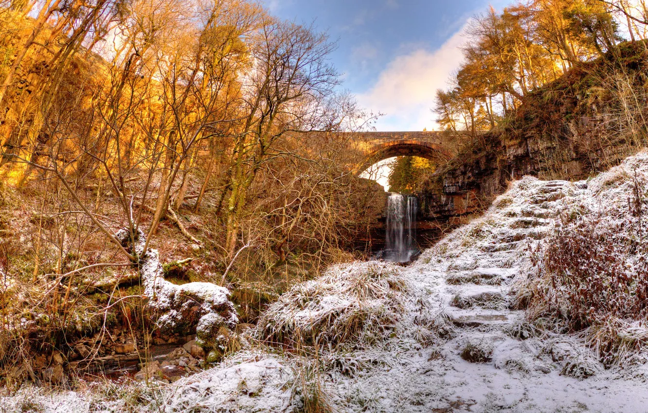 Photo wallpaper winter, trees, bridge, river, stream, waterfall, the ravine