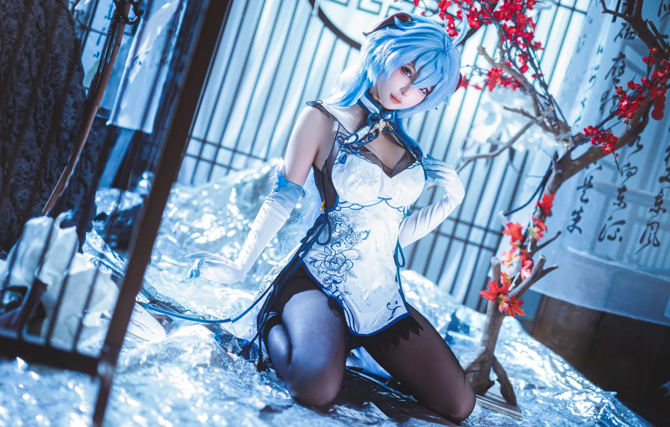 Photo wallpaper model, women, cosplay, asian, pantyhose, Genshin Impact, Chun Momo, Ganyu (Genshin Impact)