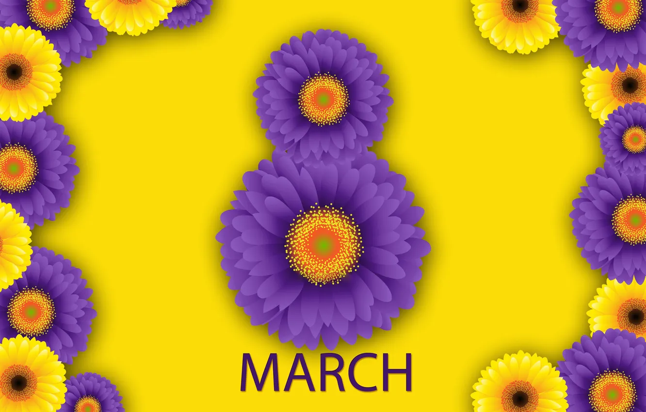 Photo wallpaper flowers, happy, March 8, chrysanthemum, flowers, women's day, women's day