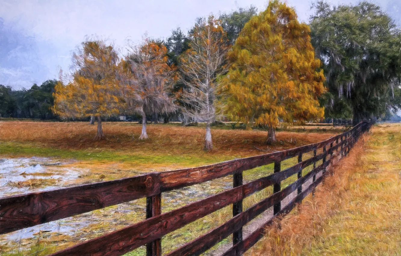 Photo wallpaper autumn, nature, picture