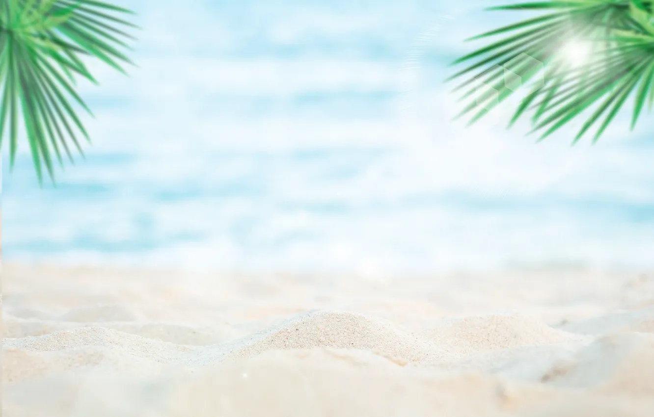 Photo wallpaper sea, beach, summer, nature, palm trees, summer, beach, sea