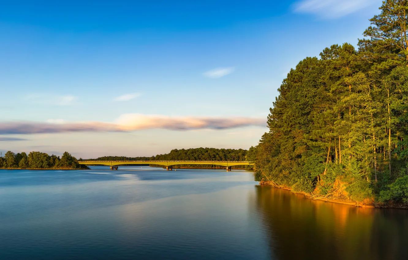 Photo wallpaper forest, bridge, lake, Georgia, GA, West Point Lake, Mooty Bridge
