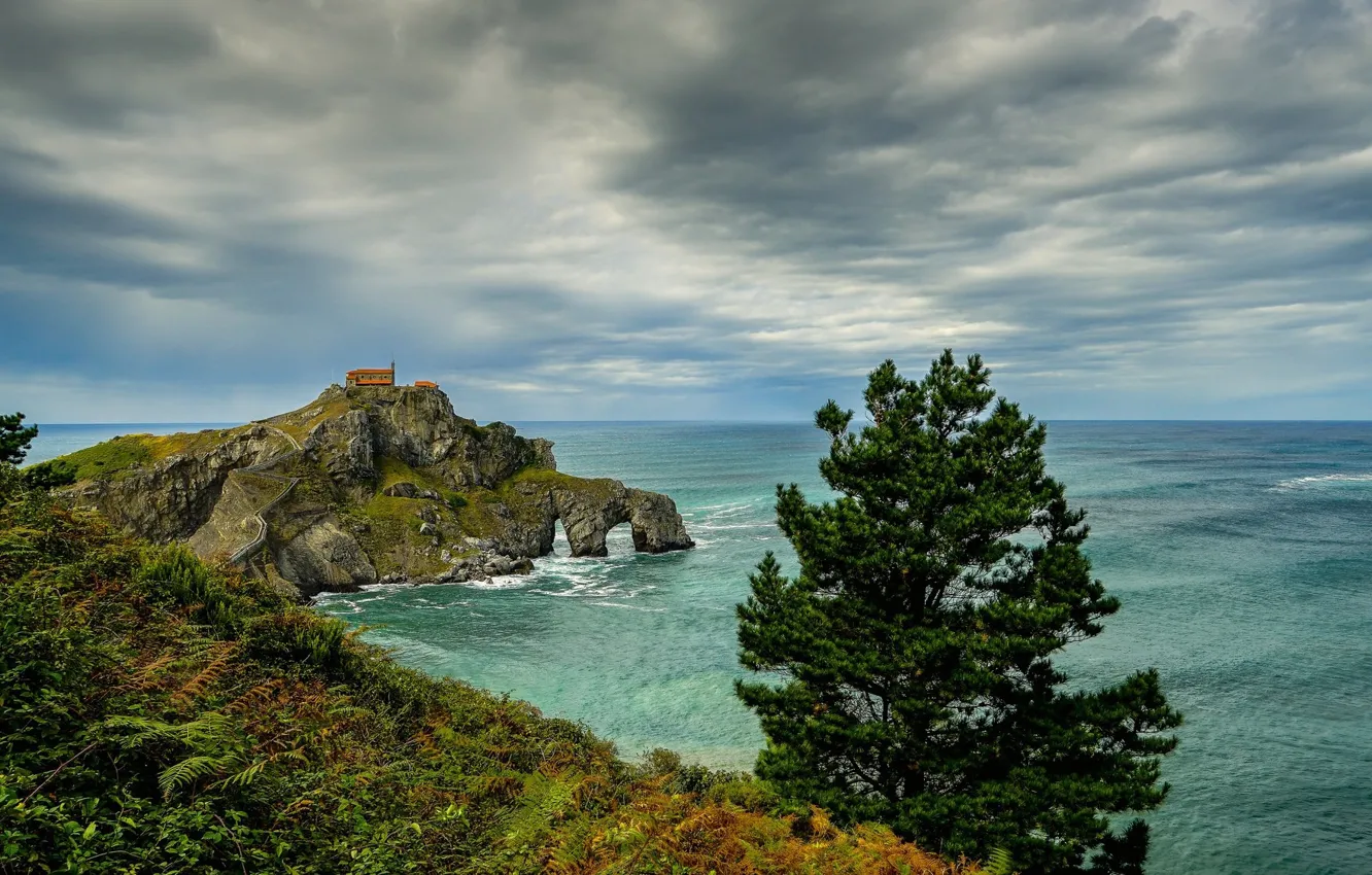 Photo wallpaper sea, trees, rocks, home