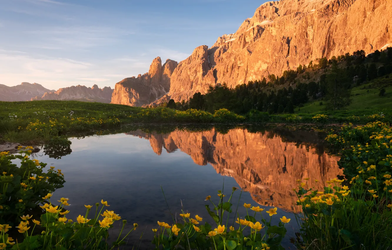 Photo wallpaper flowers, mountains, rocks, pond