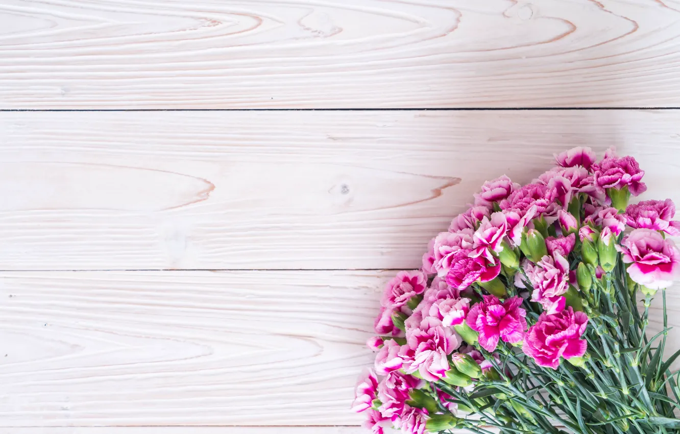 Photo wallpaper flowers, pink, wood, pink, carnation, flowers