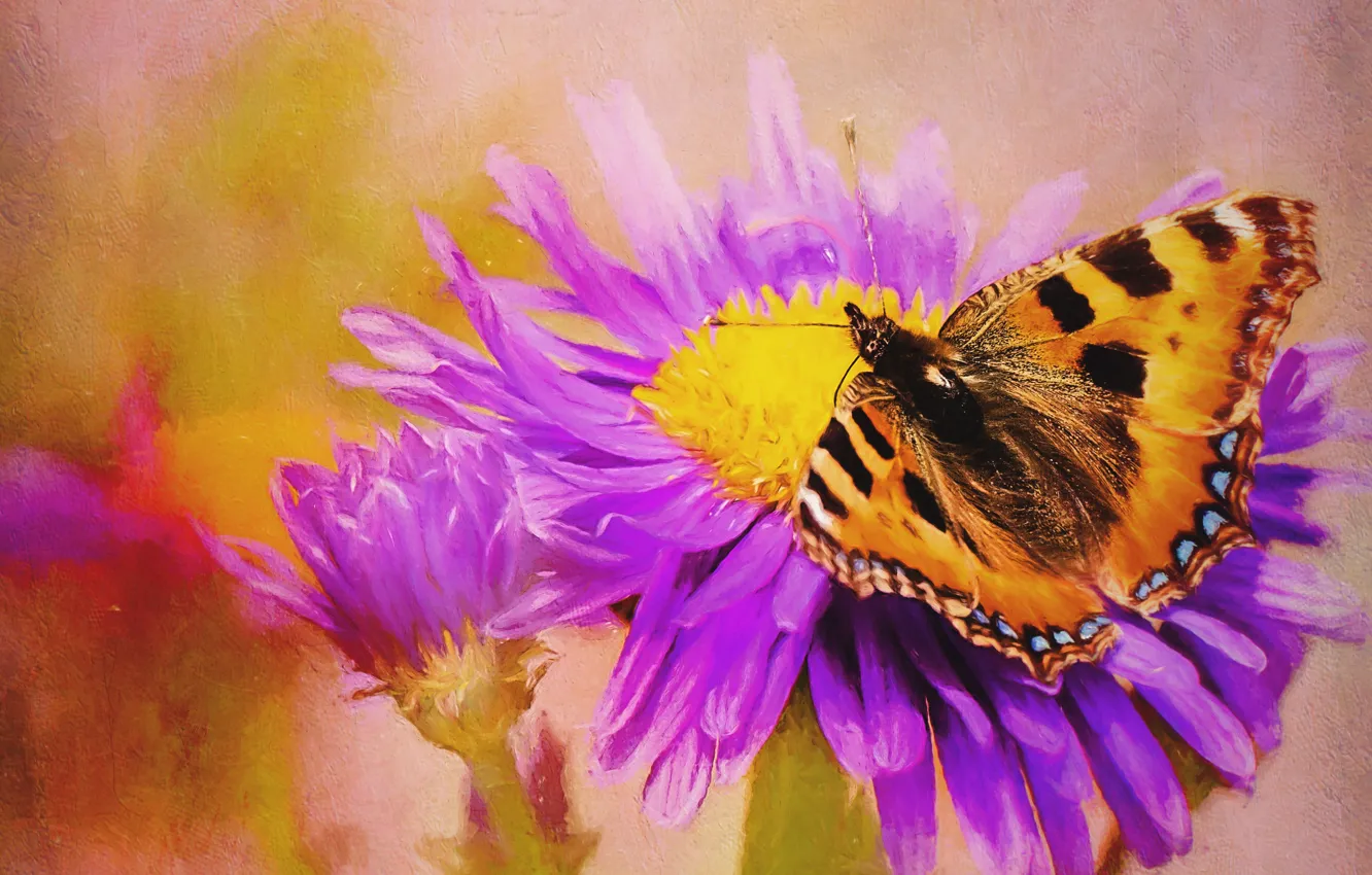 Photo wallpaper flower, butterfly, treatment, art, painting, photoart