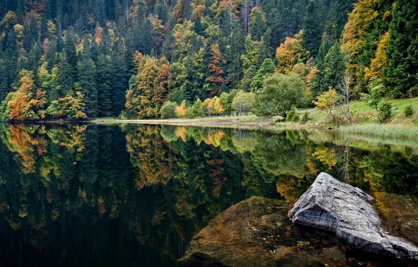 Photo wallpaper autumn, forest, water, trees, landscape, nature, lake, stone