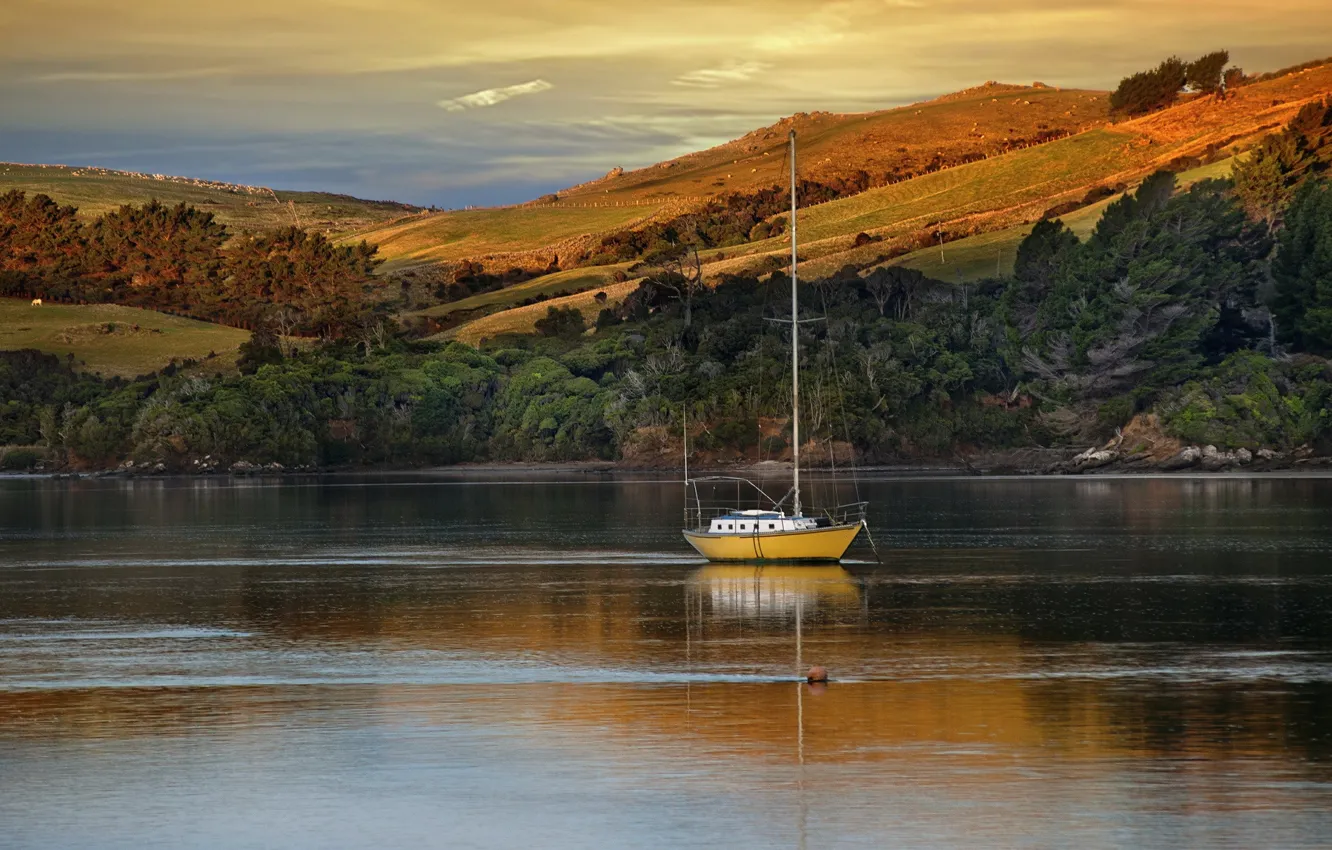 Photo wallpaper trees, lake, hills, boat, the evening