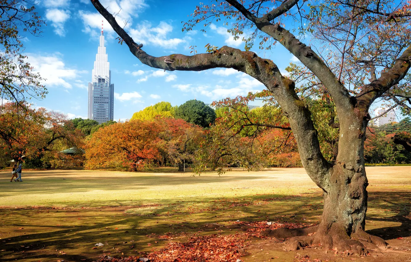 Photo wallpaper autumn, trees, landscape, the city, Park, tower, Japan, Tokyo