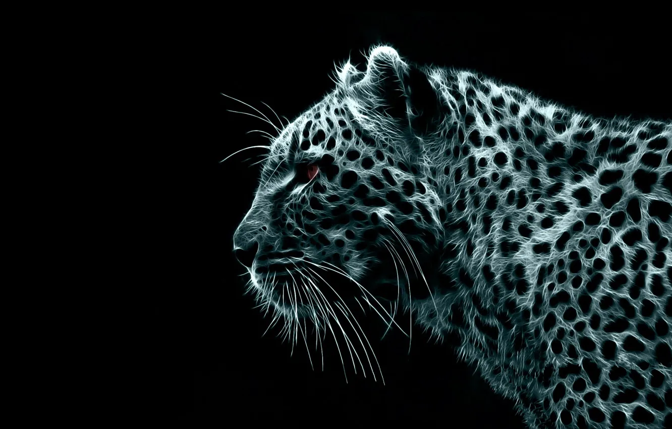 Photo wallpaper black, treatment, leopard