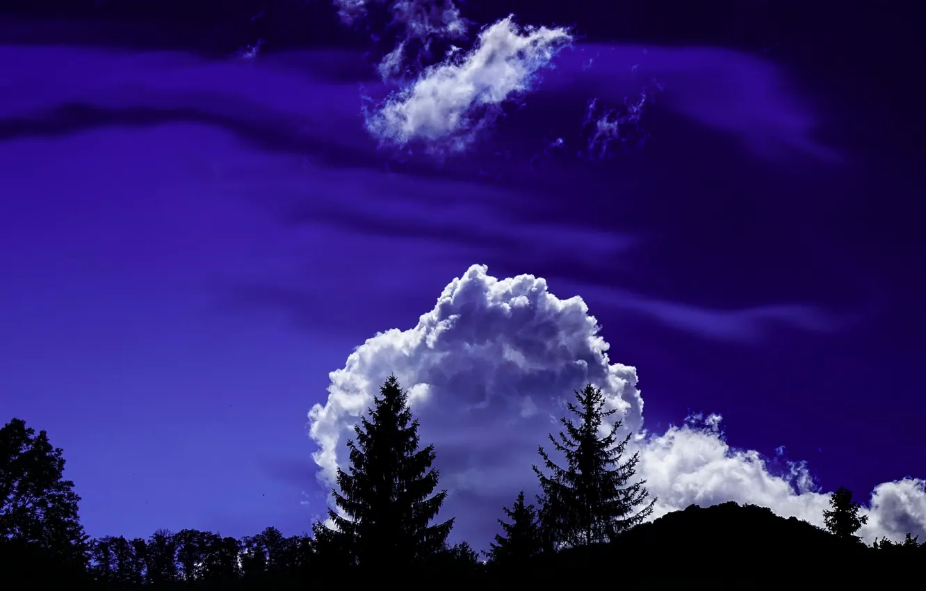 Photo wallpaper clouds, trees, night, silhouettes, trees, night, clouds, charm