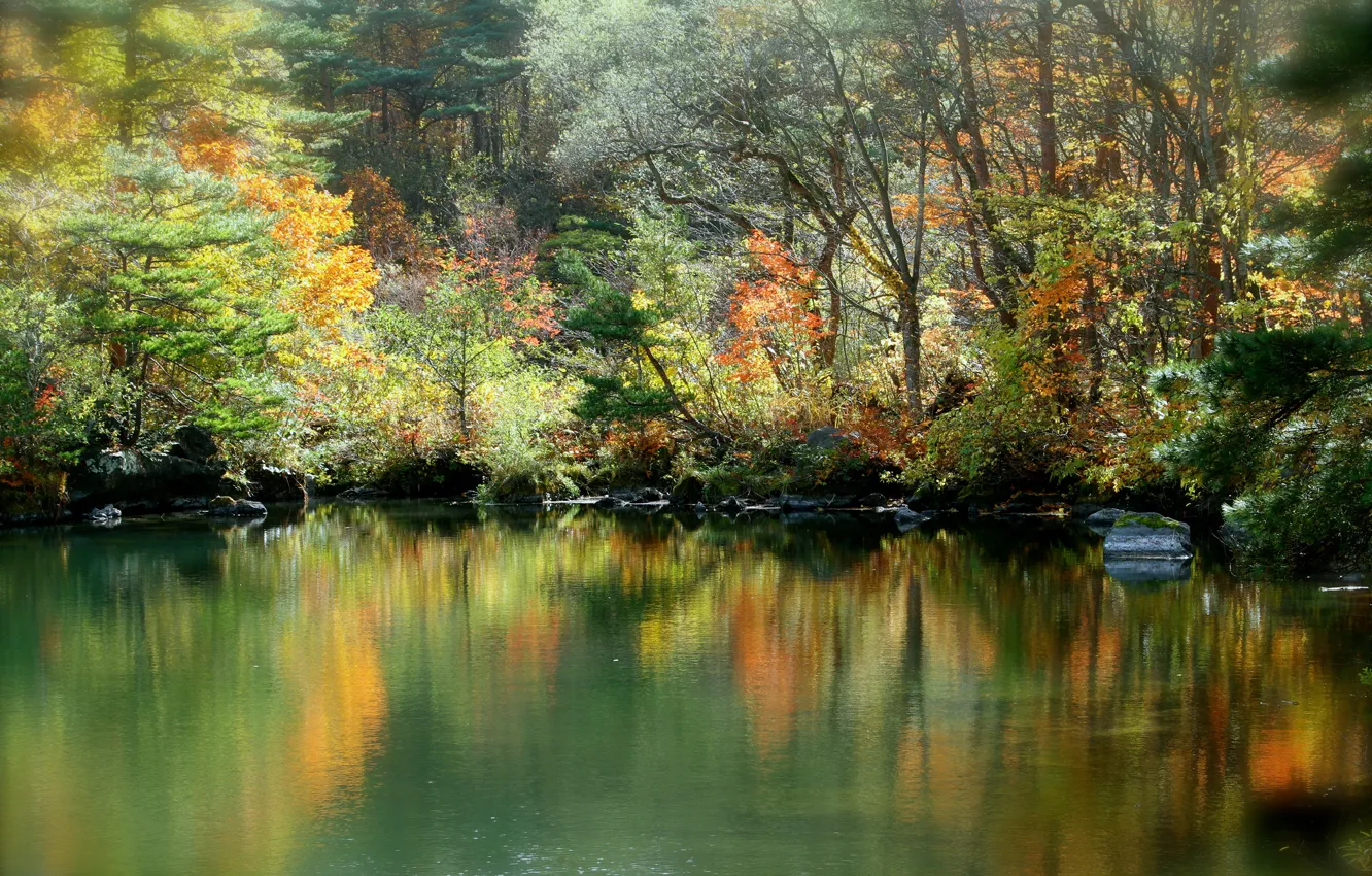 Photo wallpaper autumn, forest, lake, reflection