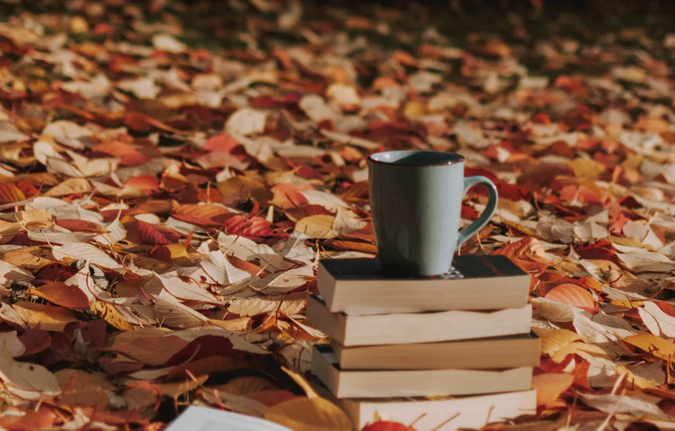 Photo wallpaper autumn, leaves, books, mug, fallen leaves