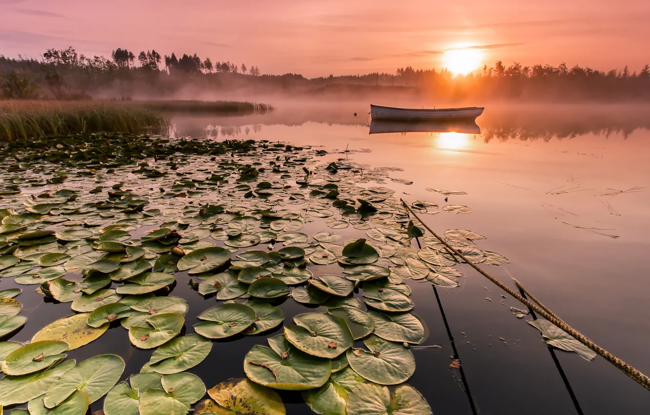 Photo wallpaper fog, lake, boat, morning