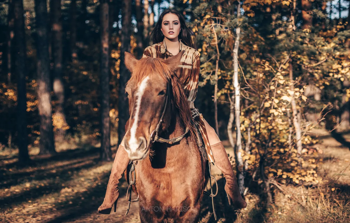 Photo wallpaper girl, horse, horse, rider, rider, Maria, top, Anton Kharisov