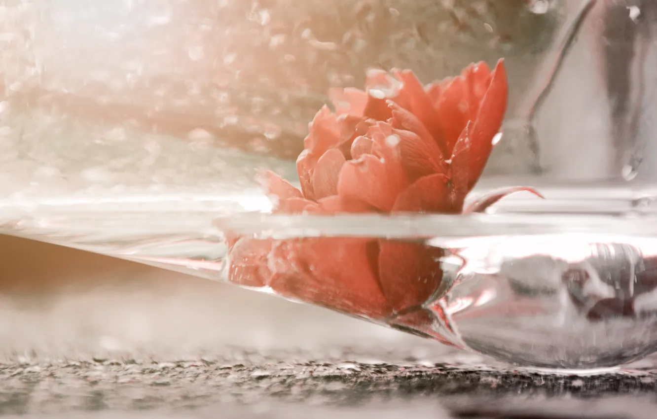 Photo wallpaper glass, water, flowers