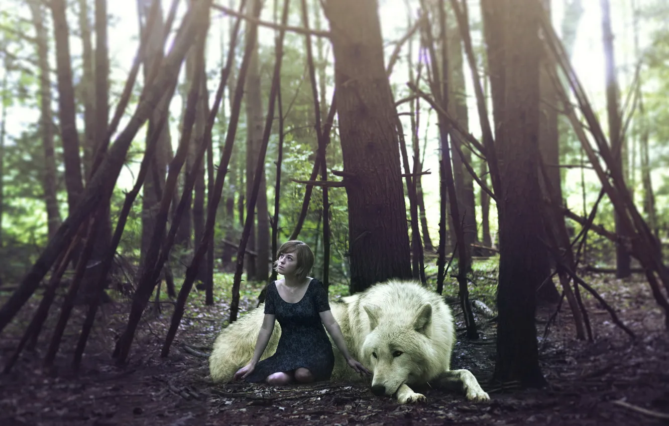Photo wallpaper forest, girl, wolf