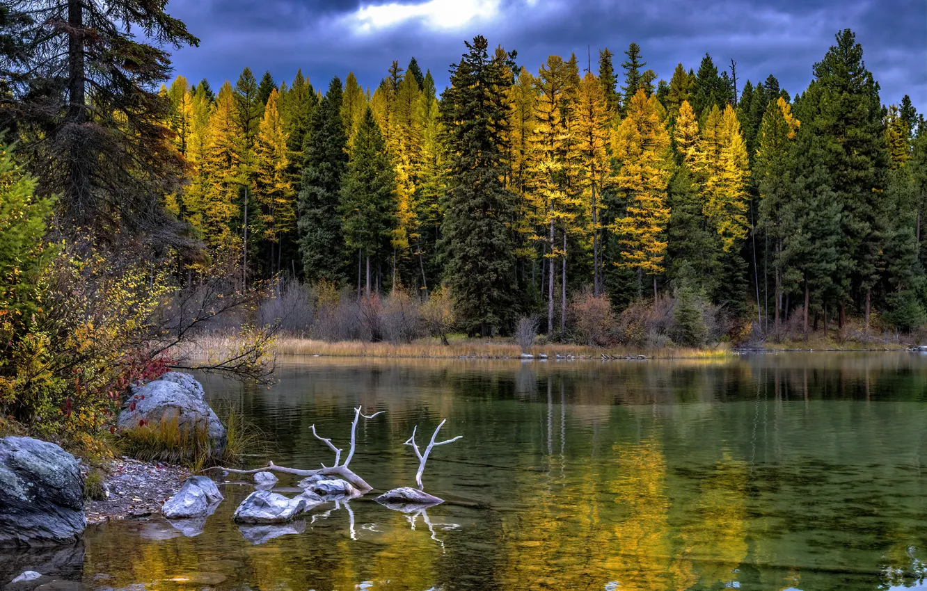 Photo wallpaper autumn, forest, trees, mountains, clouds, nature, lake, stones