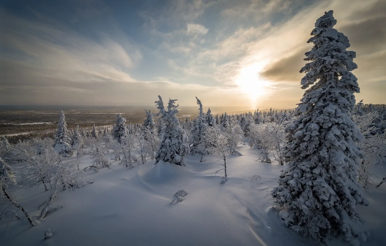 Photo wallpaper winter, snow, trees, nature, Finland