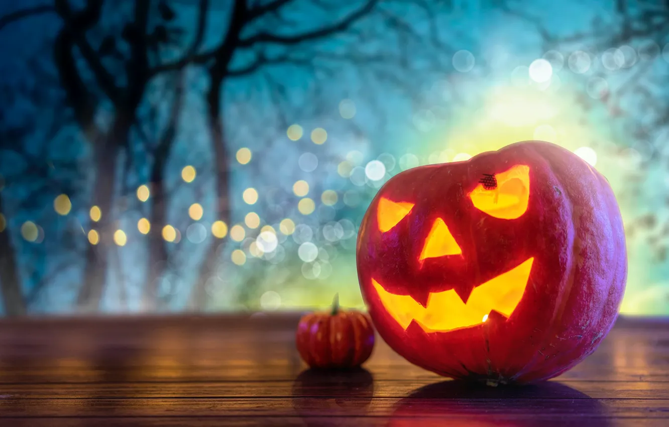 Photo wallpaper trees, lights, table, holiday, laughter, pumpkin, Halloween, Halloween