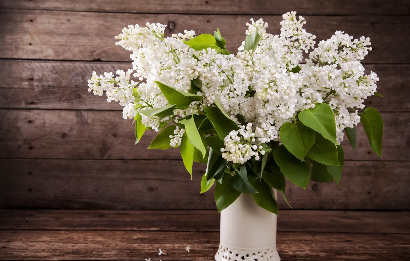 Photo wallpaper bouquet, white, vase, lilac