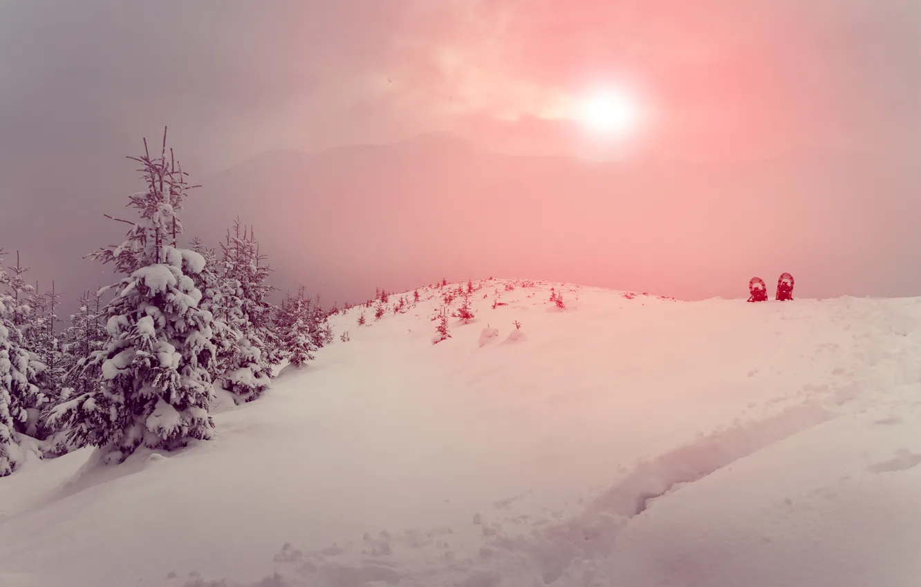 Photo wallpaper winter, the sun, snow, mountains, fog, tree