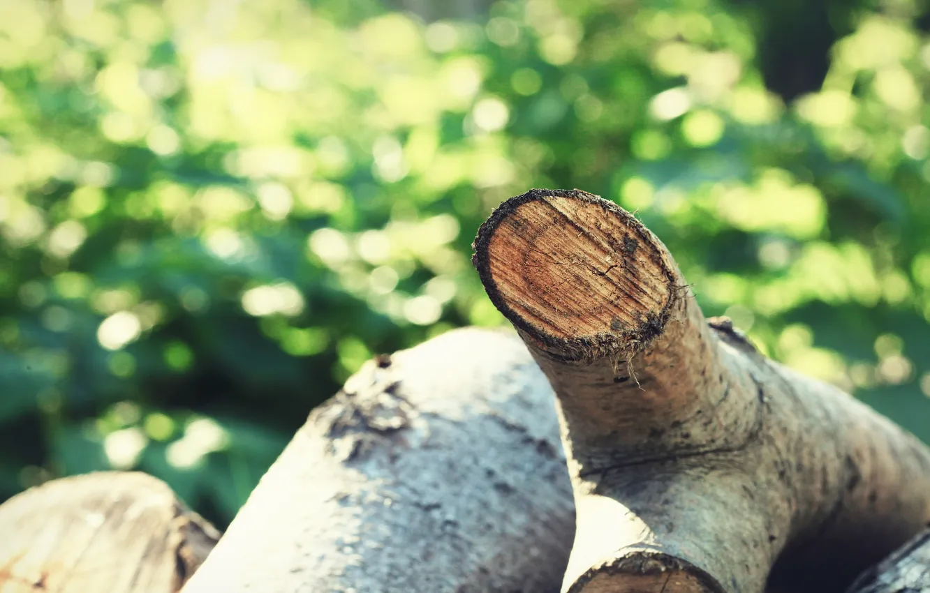 Photo wallpaper macro, blur, trunk, log, logs, spil