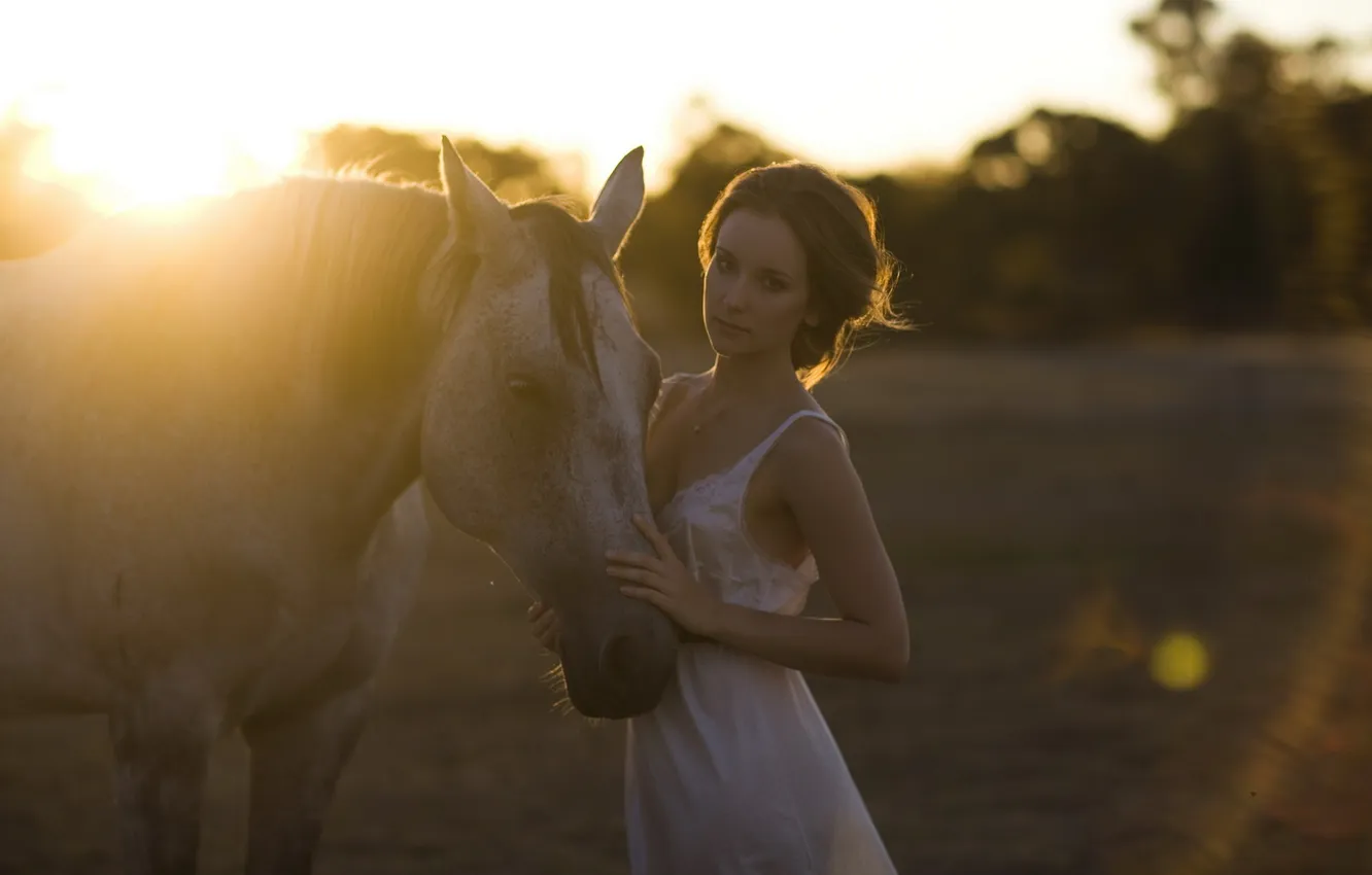Photo wallpaper girl, light, sunset, horse