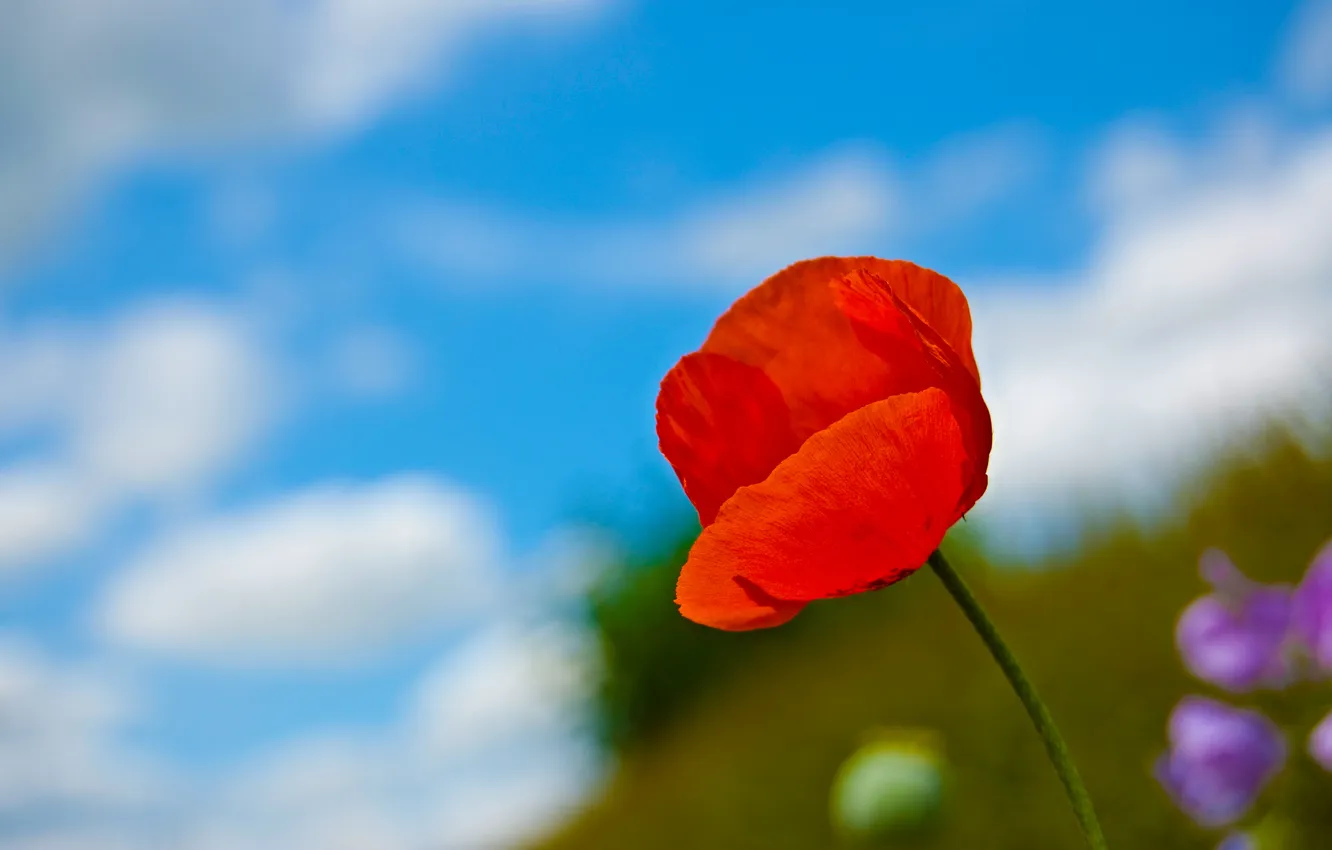 Photo wallpaper the sky, red, Mac